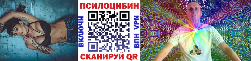 закладка  Смоленск  Псилоцибиновые грибы мицелий 