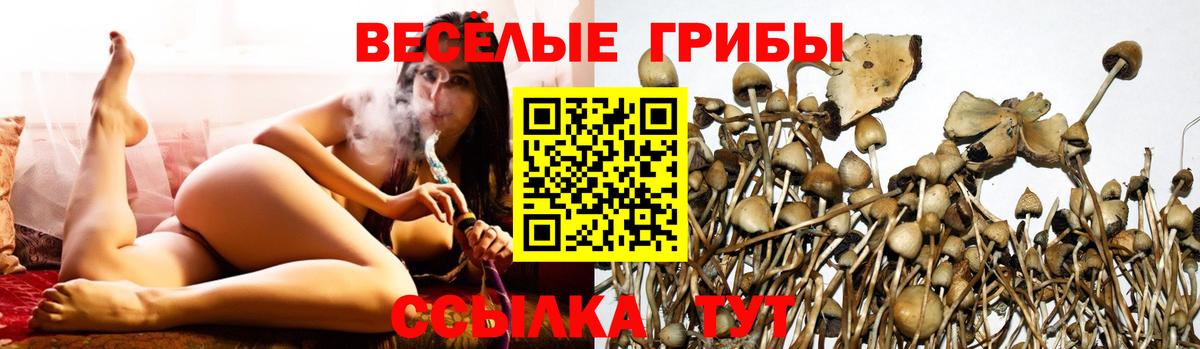Галлюциногенные грибы мицелий Смоленск