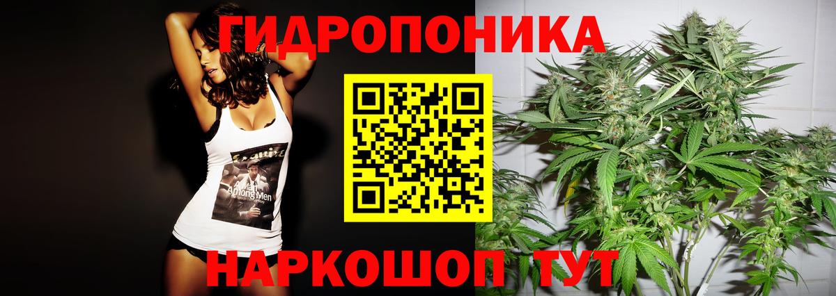 Канабис Bruce Banner  Вход с VPN  Канабис THC 21%  Смоленск  Каннабис VHQ 
